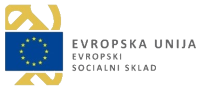 Evropski Strukturni Sklad logo
